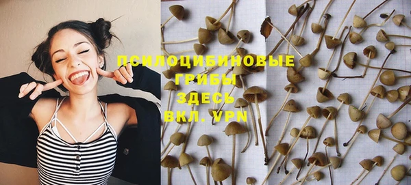 дурь Армянск
