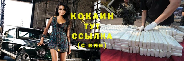 кокс Арсеньев