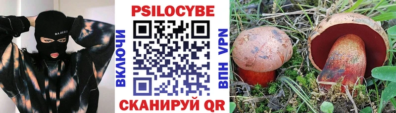 Галлюциногенные грибы Magic Shrooms  даркнет какой сайт  Кубинка 